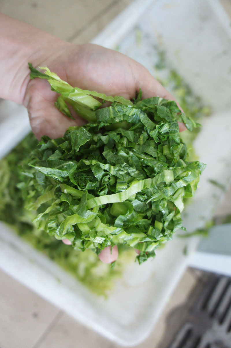 picador de comida m&aacute;gica
