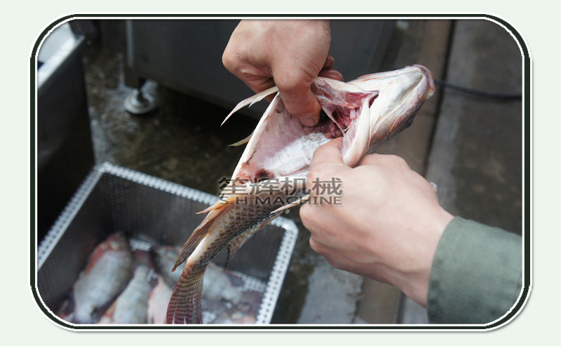 produccion de pescado