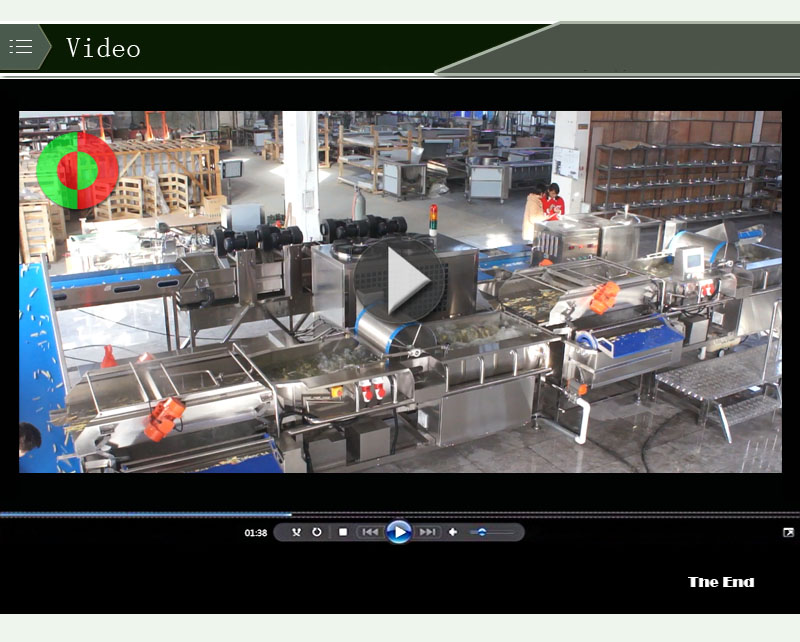 lavadora de vegetales industrial