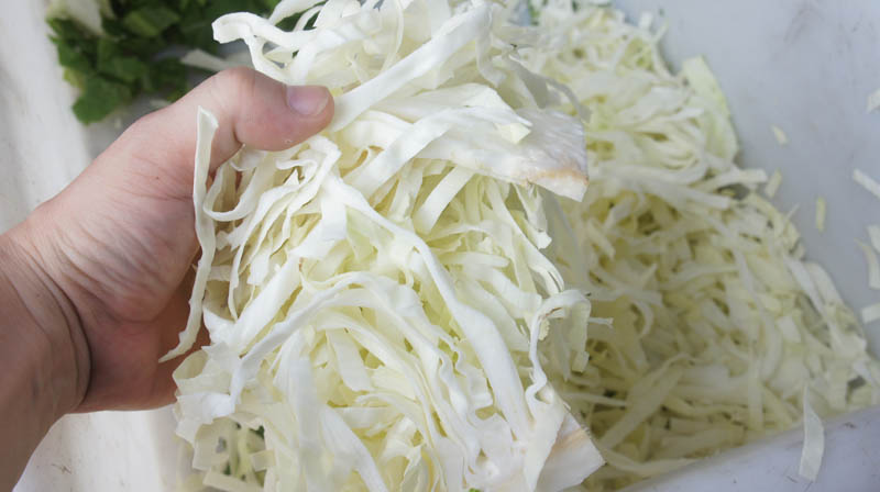 cortadora de cebolla