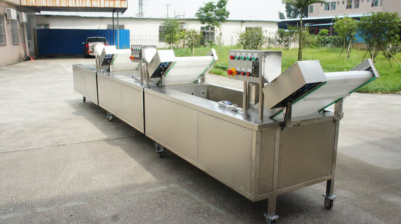 procesamiento de fruta