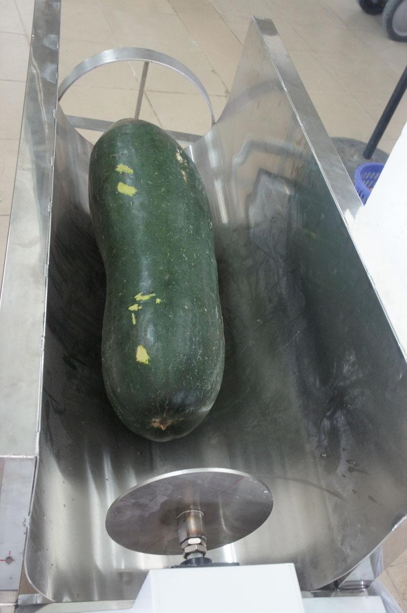 m&aacute;quina de corte de cenoura