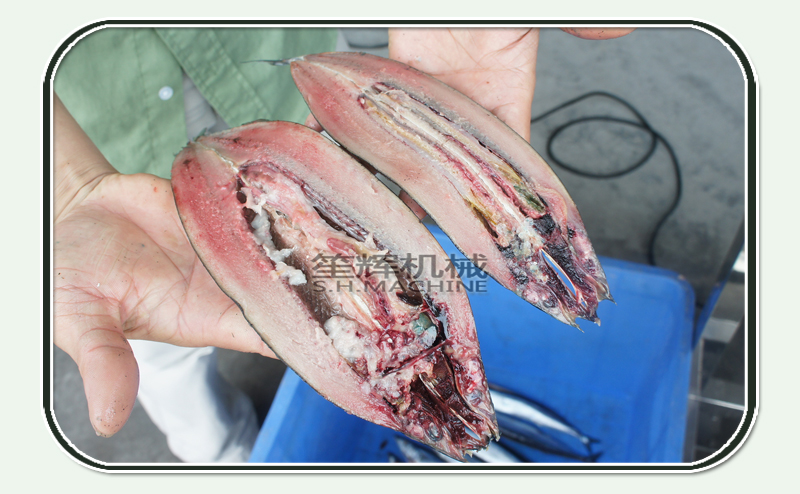 m&aacute;quina de filete de pescado