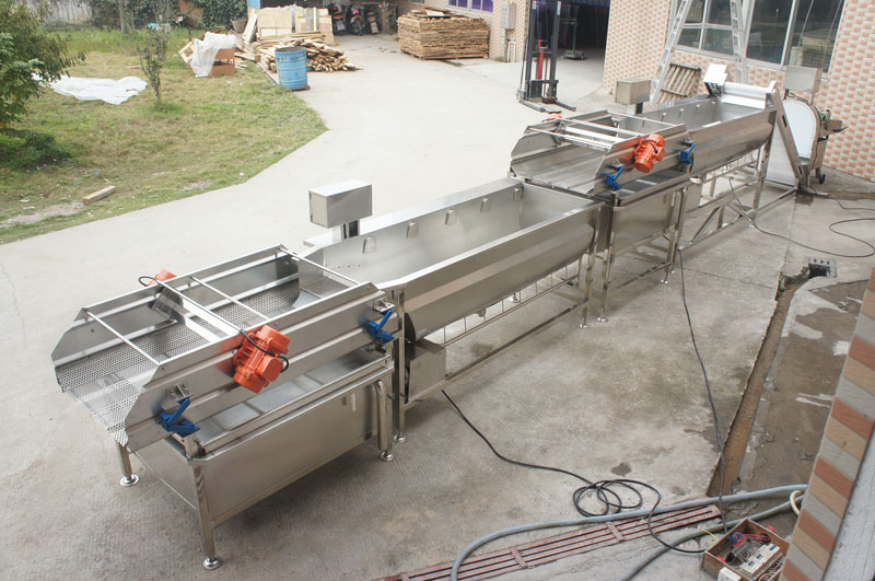 lavadora de vegetales