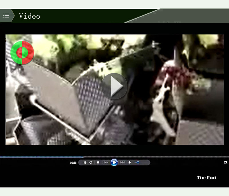 escala de peso de los alimentos