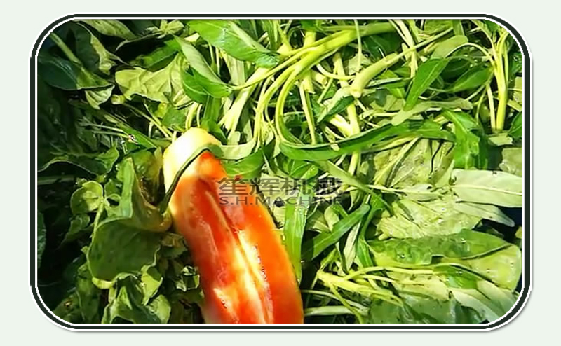 lavadora de frutas y verduras