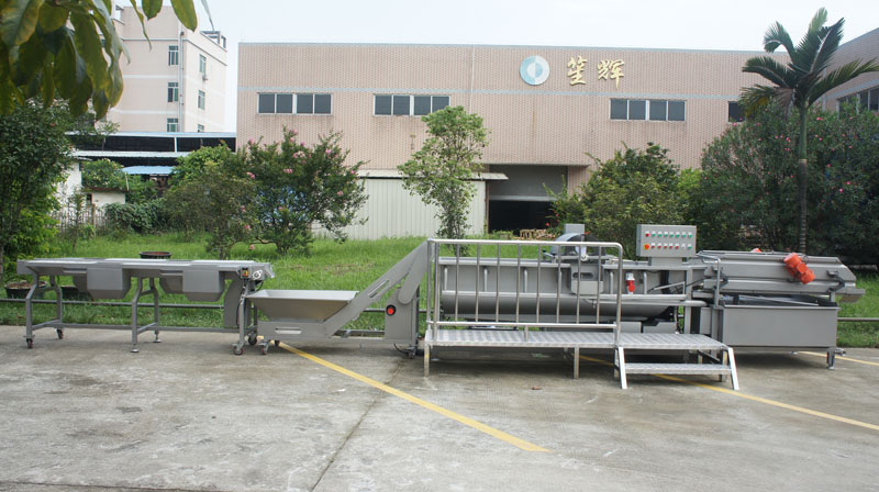 &iquest;A qu&eacute; debo prestar atenci&oacute;n cuando compro una lavadora de verduras? 1