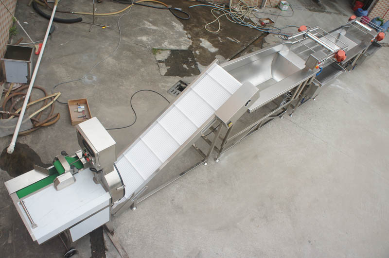 industria de procesamiento de alimentos