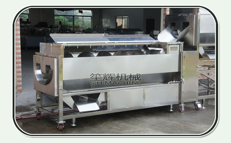 L&iacute;nea de procesamiento de vegetales de ra&iacute;z