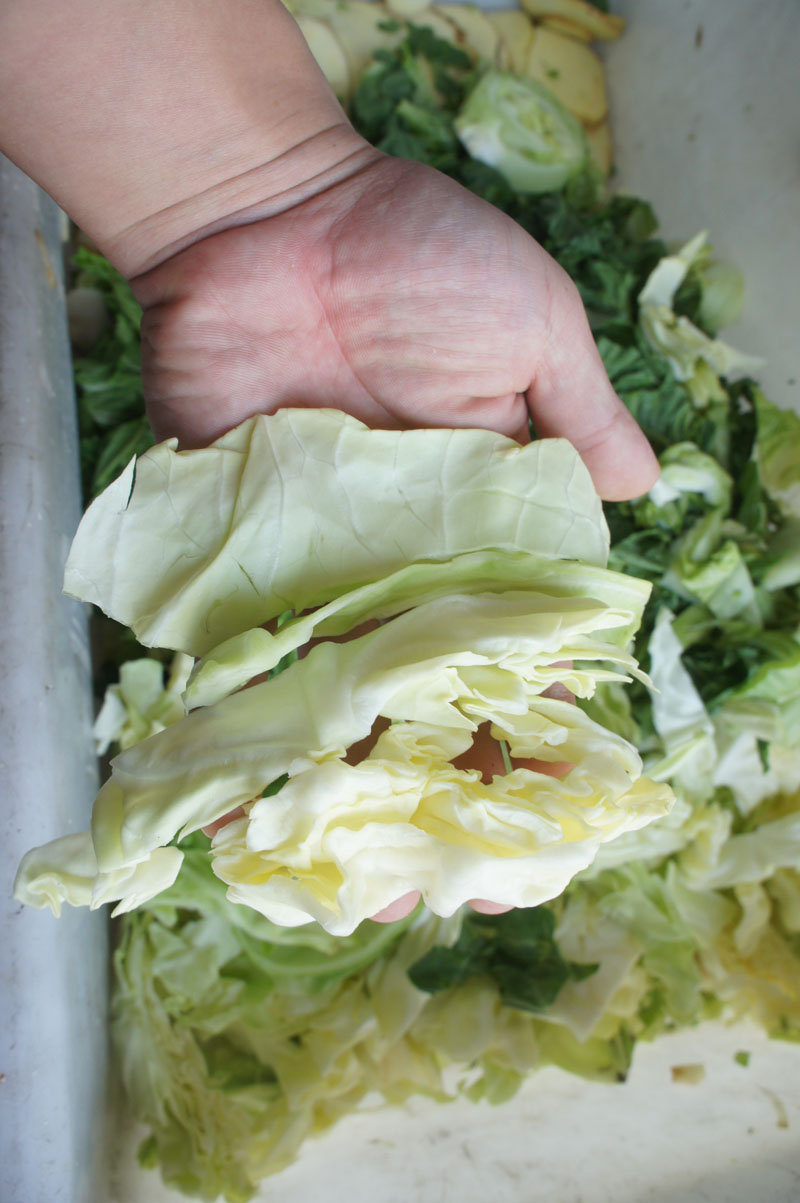 picadora de verduras para la cocina india