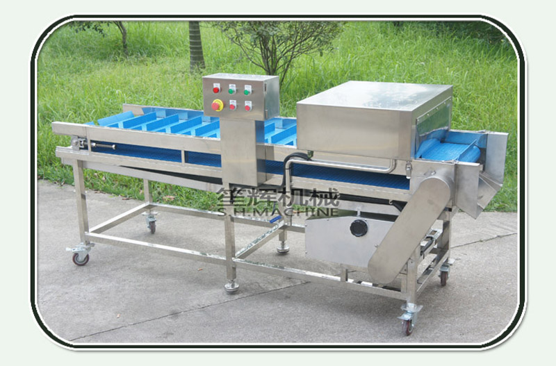 procesamiento de pescado de comida