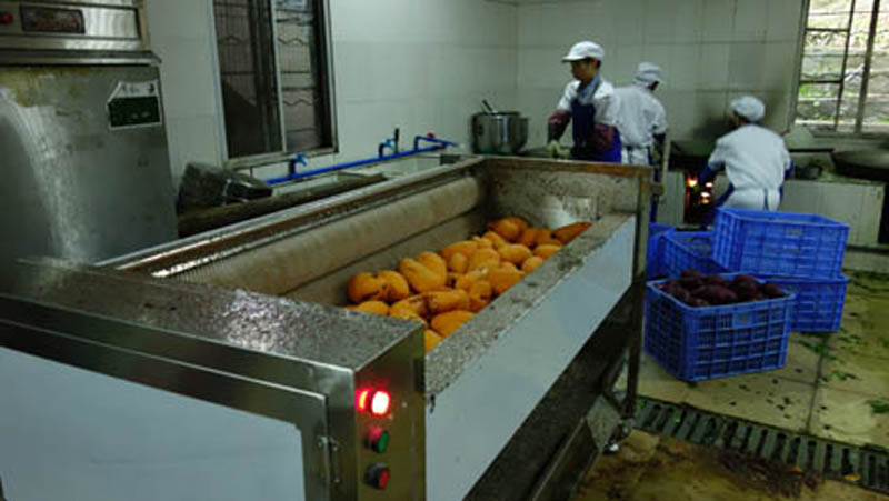 Nuestra empresa suministra equipos de pelado y corte para una empresa coreana 2