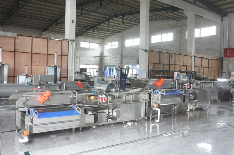 lavadora de frutas vegetales