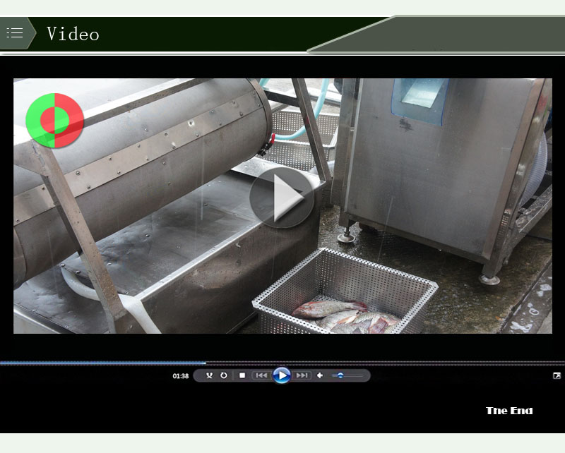 Skinzit el&eacute;ctrico pescado tilapia limpieza de pescado desincrustador desollador descalcificaci&oacute;n l&iacute;nea de procesamiento de mariscos 2