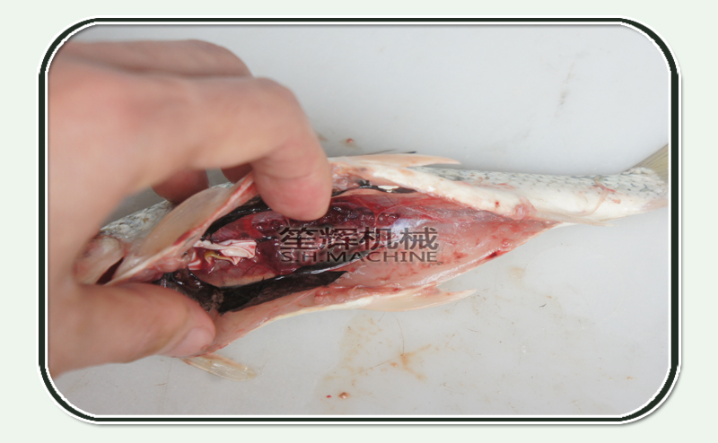 herramientas de limpieza de pescado