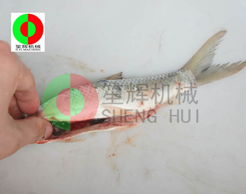 pescar en l&iacute;nea