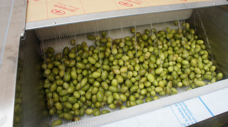 ¿Es muy caro el precio de la lavadora de frutas y verduras?