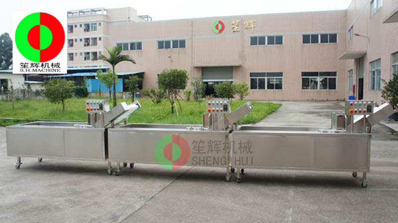 &iquest;Qu&eacute; tipo de plataforma puede comprar una lavadora de frutas y verduras con relativamente m&aacute;s funciones?