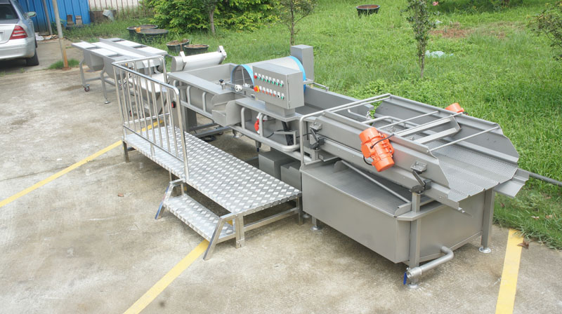 &iquest;A qu&eacute; debo prestar atenci&oacute;n cuando compro una lavadora de verduras? 3