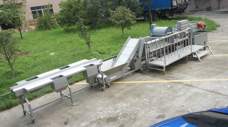 &iquest;A qu&eacute; debo prestar atenci&oacute;n cuando compro una lavadora de verduras? 2