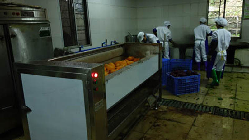 Nuestra empresa suministra equipos de pelado y corte para una empresa coreana 3