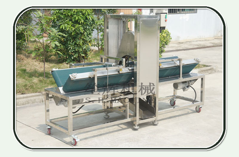 M&aacute;quina guarnici&oacute;n 1