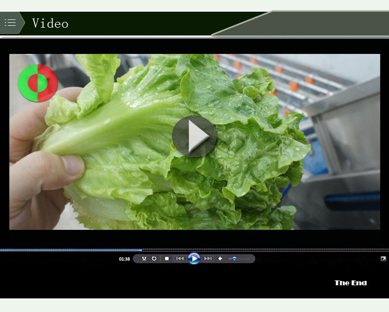 m&aacute;quina de limpieza de ensaladas 1