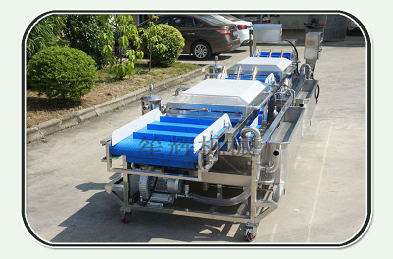 m&aacute;quina de limpieza de verduras