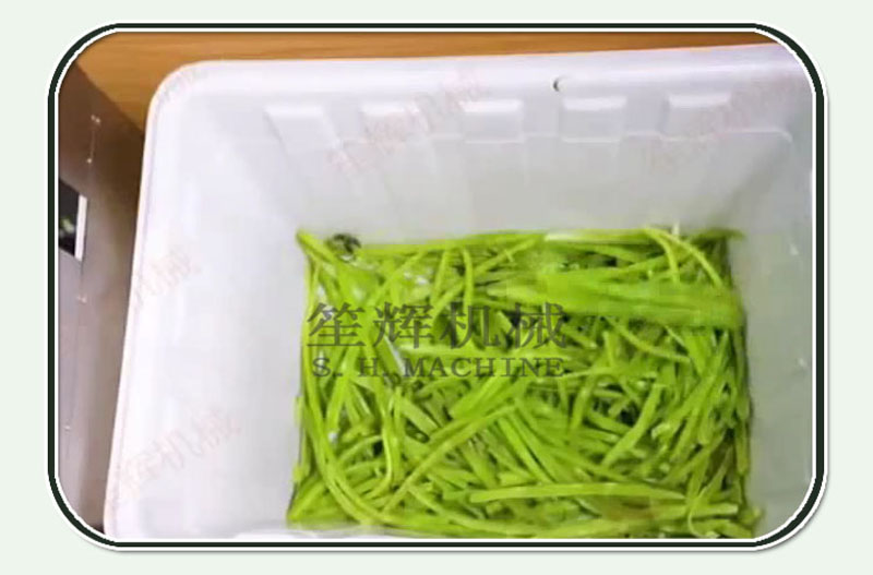 m&aacute;quina de procesamiento de vegetales