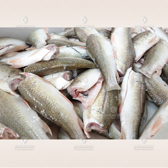 Lavadora automática de pescado, máquina de limpieza de pescado, lavadora de carne, máquina desalinizadora de pescado