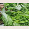 Línea de procesamiento de vegetales comerciales, máquina para lavar vegetales, máquina para limpiar frutas, lavadora de ensaladas no destructiva