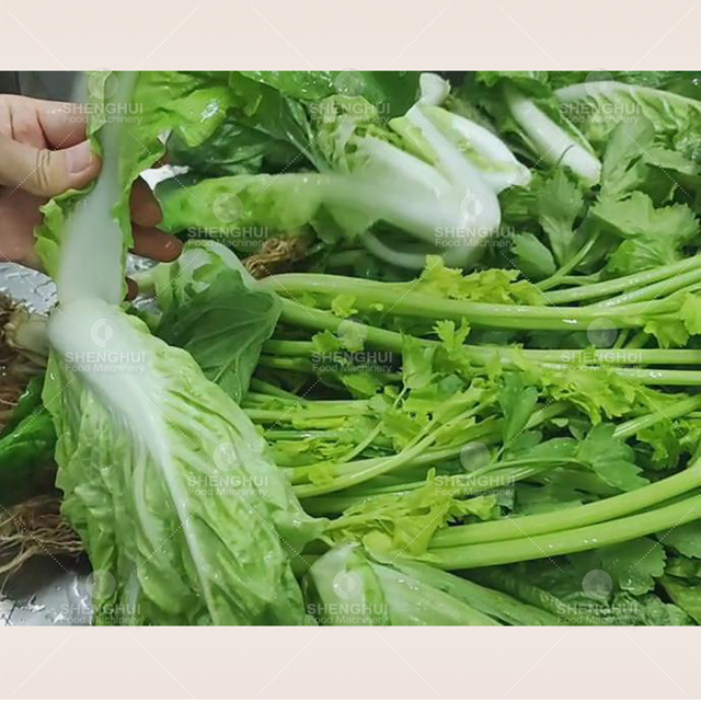 Línea de procesamiento de vegetales comerciales, máquina para lavar vegetales, máquina para limpiar frutas, lavadora de ensaladas no destructiva