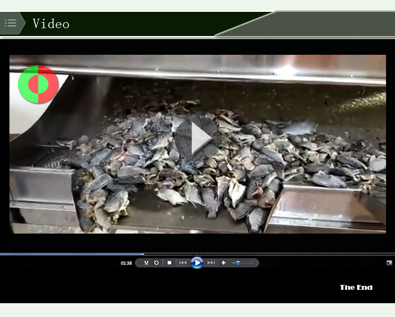 clasificadora de pescado1