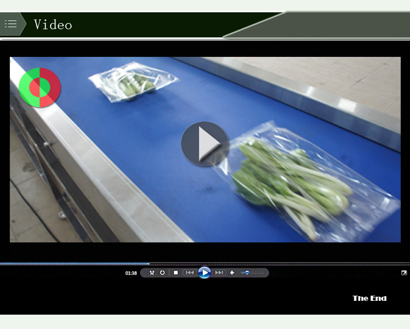 empaquetadora de vegetales 1