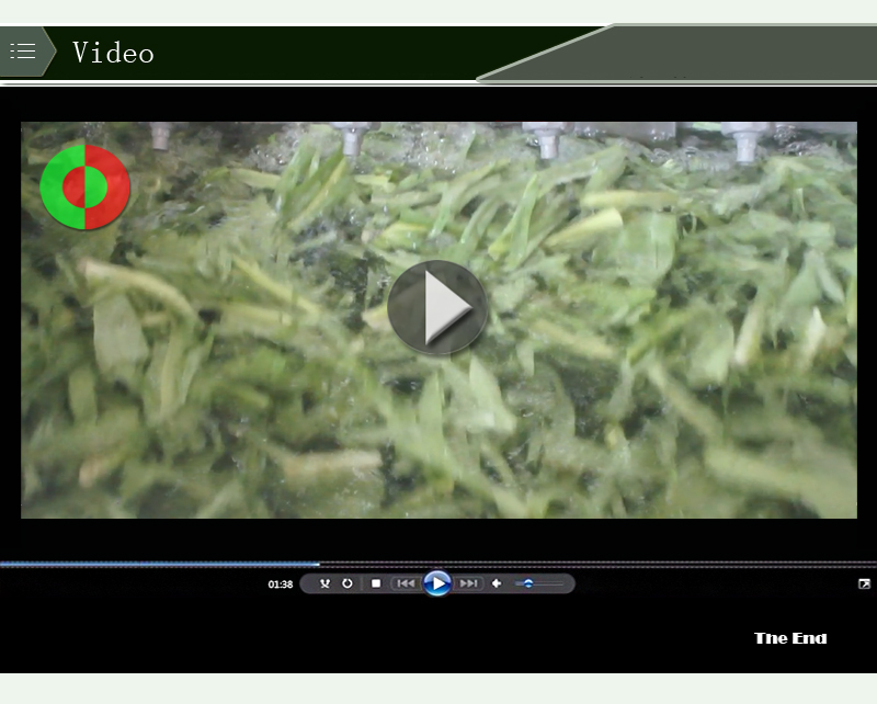 lavadora de verduras-m&aacute;quina de alimentos