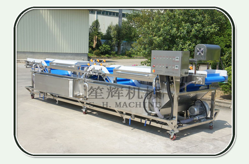 lavadora de frutas de burbujas