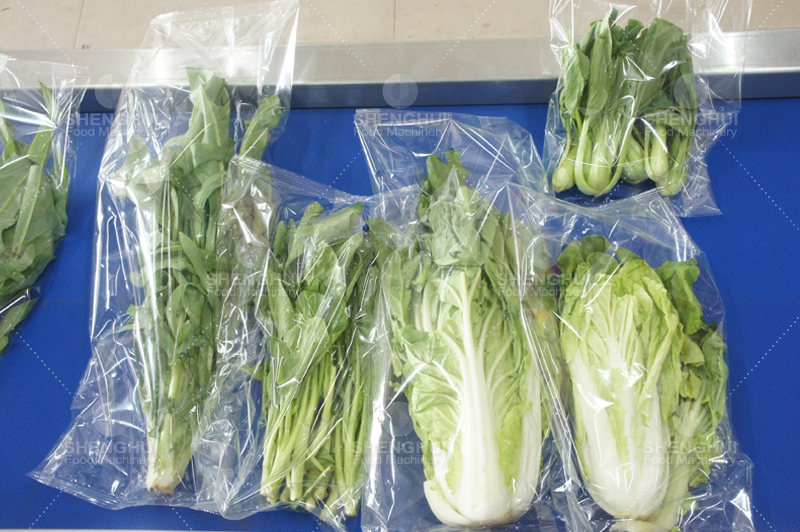 Equipo alimentario 1