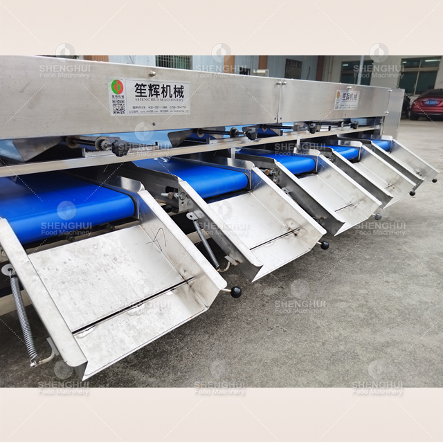 Máquina clasificadora automática de frutas, clasificadora de tomates cherry, clasificadora de patatas, máquina clasificadora de arándanos