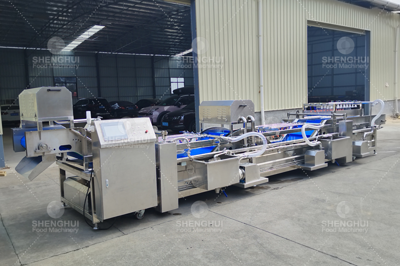 Lavadora de verduras (9)