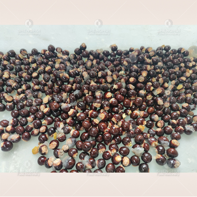Máquina automática para extraer semillas de longan, máquina para deshuesar dátiles rojos, máquina para alimentos, máquina para deshuesar cerezas