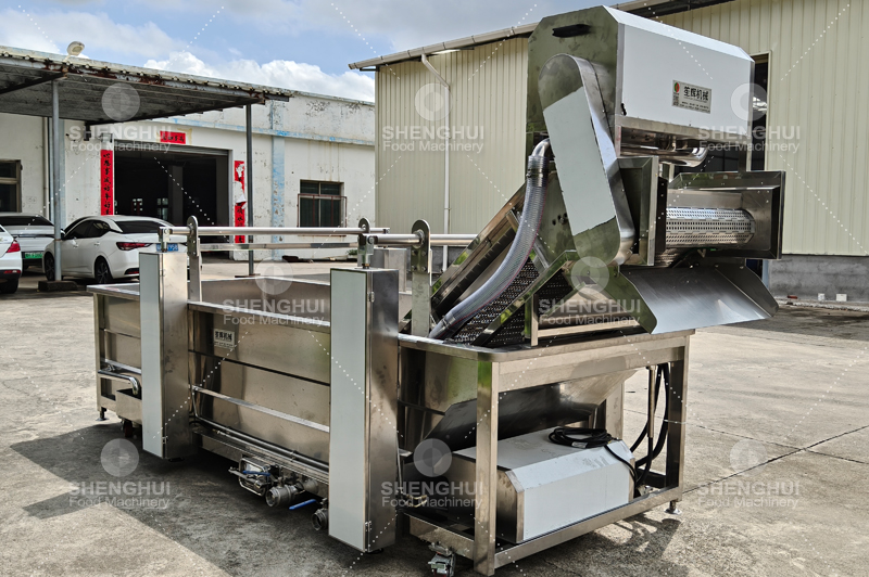 Lavadora de carne (10)