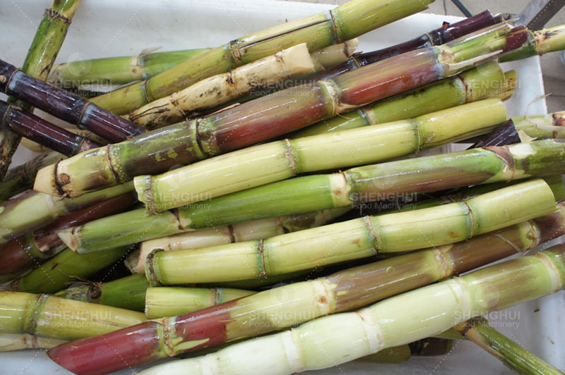 m&aacute;quina de procesamiento de ca&ntilde;a de az&uacute;car