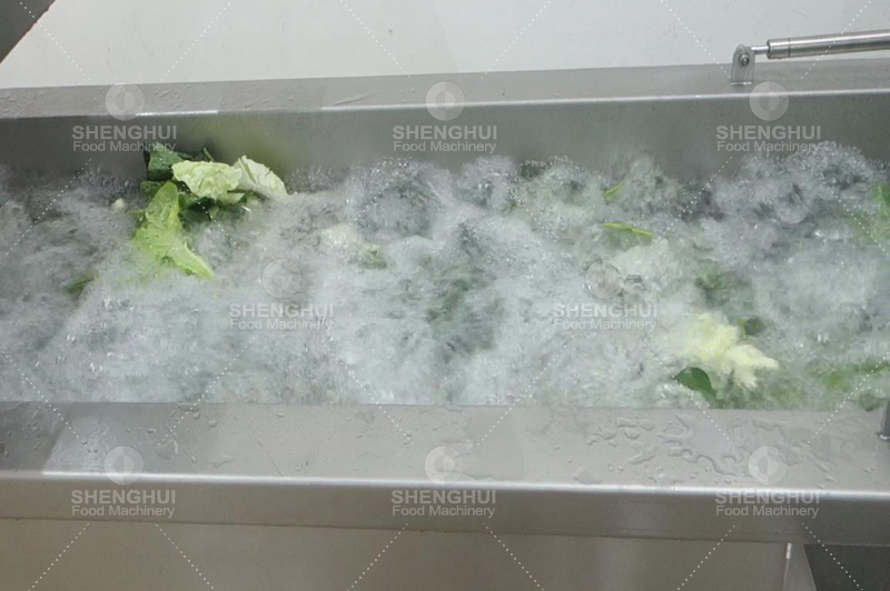 Lavadora de verduras 1