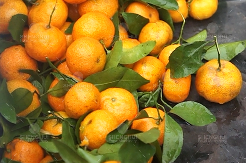 M&aacute;quina de procesamiento de Alimentos1