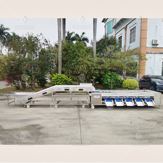 Máquina clasificadora automática de frutas, clasificadora de tomates cherry, clasificadora de patatas, máquina clasificadora de arándanos