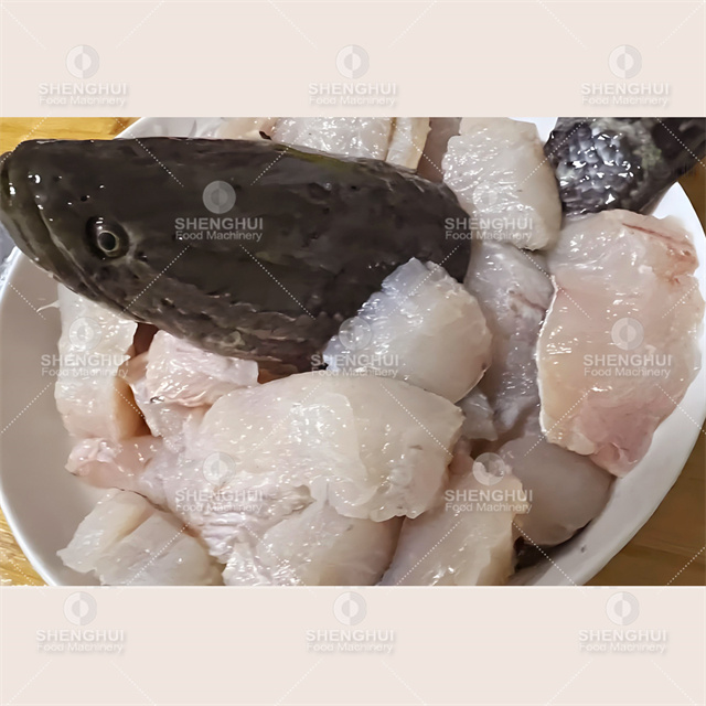 Lavadora automática de carne, máquina de limpieza de pescado, máquina de extracción de sangre de pescado, equipo de sangrado de pescado