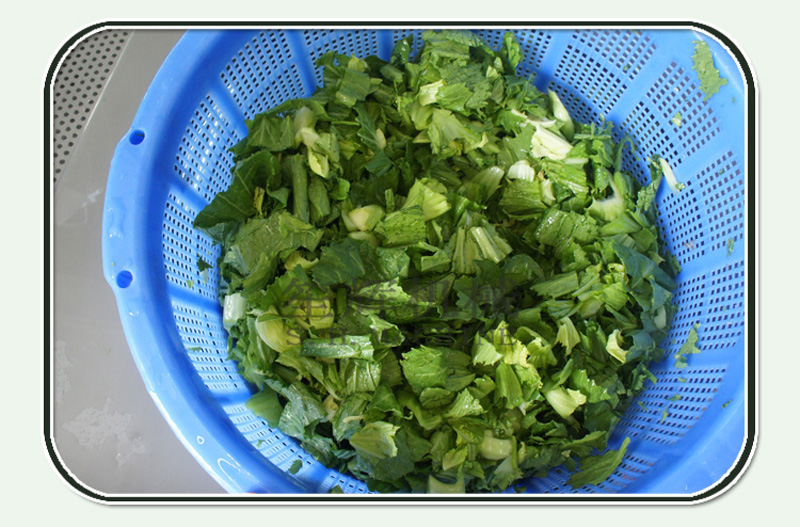 lavadora de ozono-m&aacute;quina de alimentos