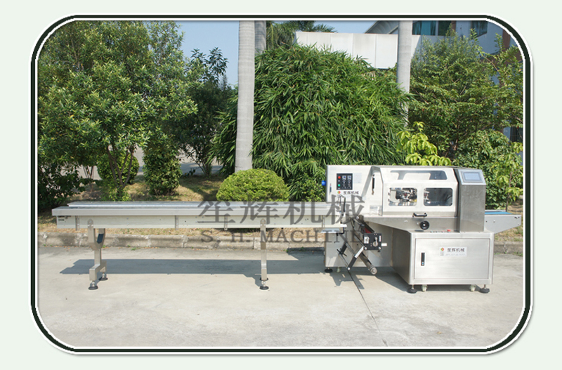 m&aacute;quina de embalaje de verduras 1