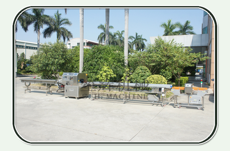 m&aacute;quina de envasado de alimentos