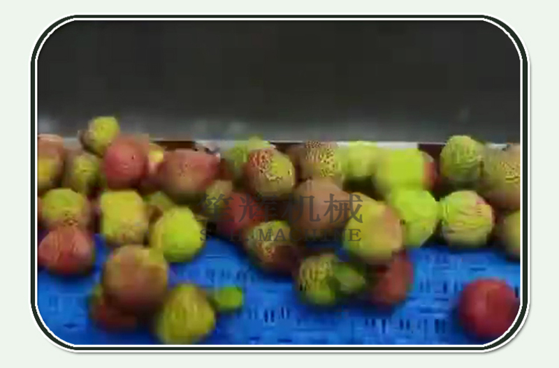 equipamiento para catering